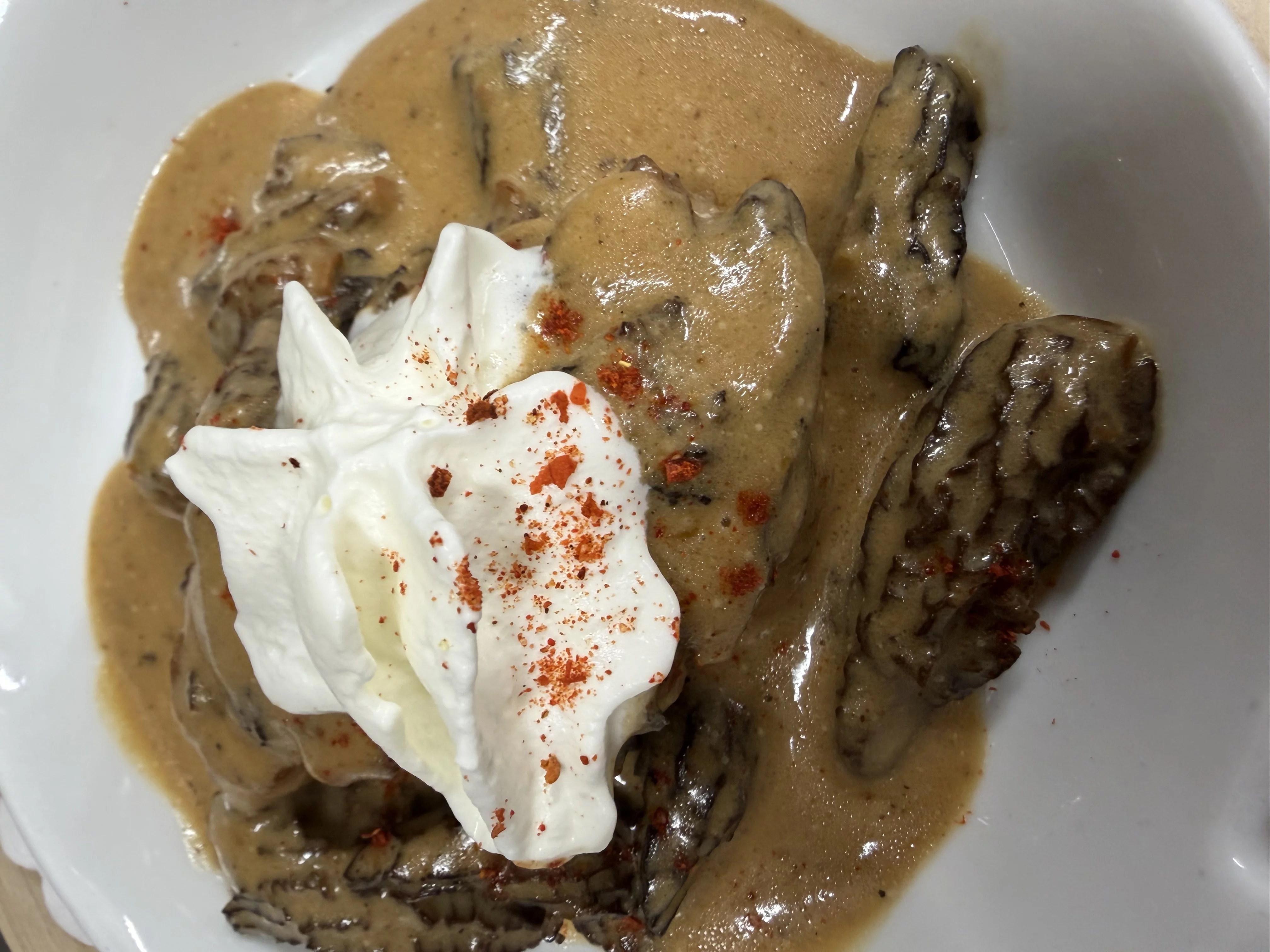 Croûte aux morilles