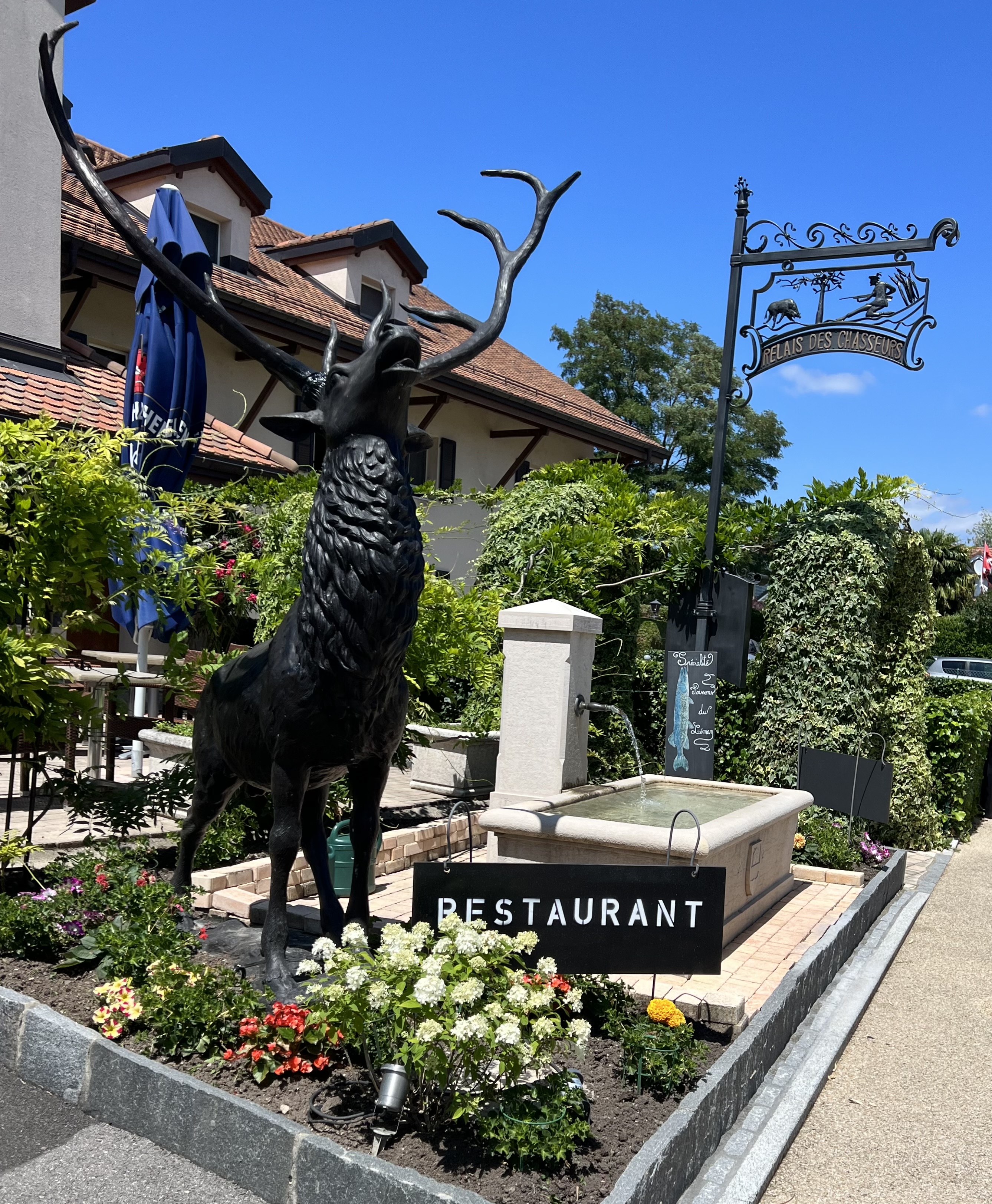 Carousel — Image 1